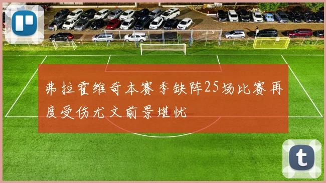 弗拉霍维奇本赛季缺阵25场比赛再度受伤尤文前景堪忧