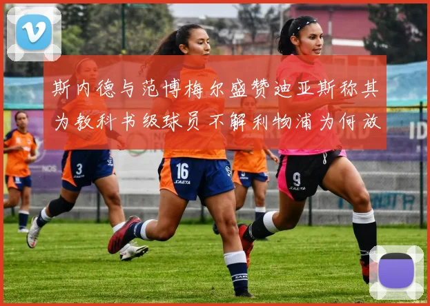 斯内德与范博梅尔盛赞迪亚斯称其为教科书级球员不解利物浦为何放弃他